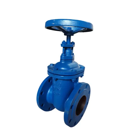 Ductile Iron Flanged Gate Valve, Non-Rising Stem Z41
