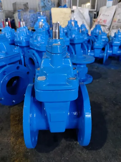 Ductile Iron Flanged Gate Valve, Non-Rising Stem Z41